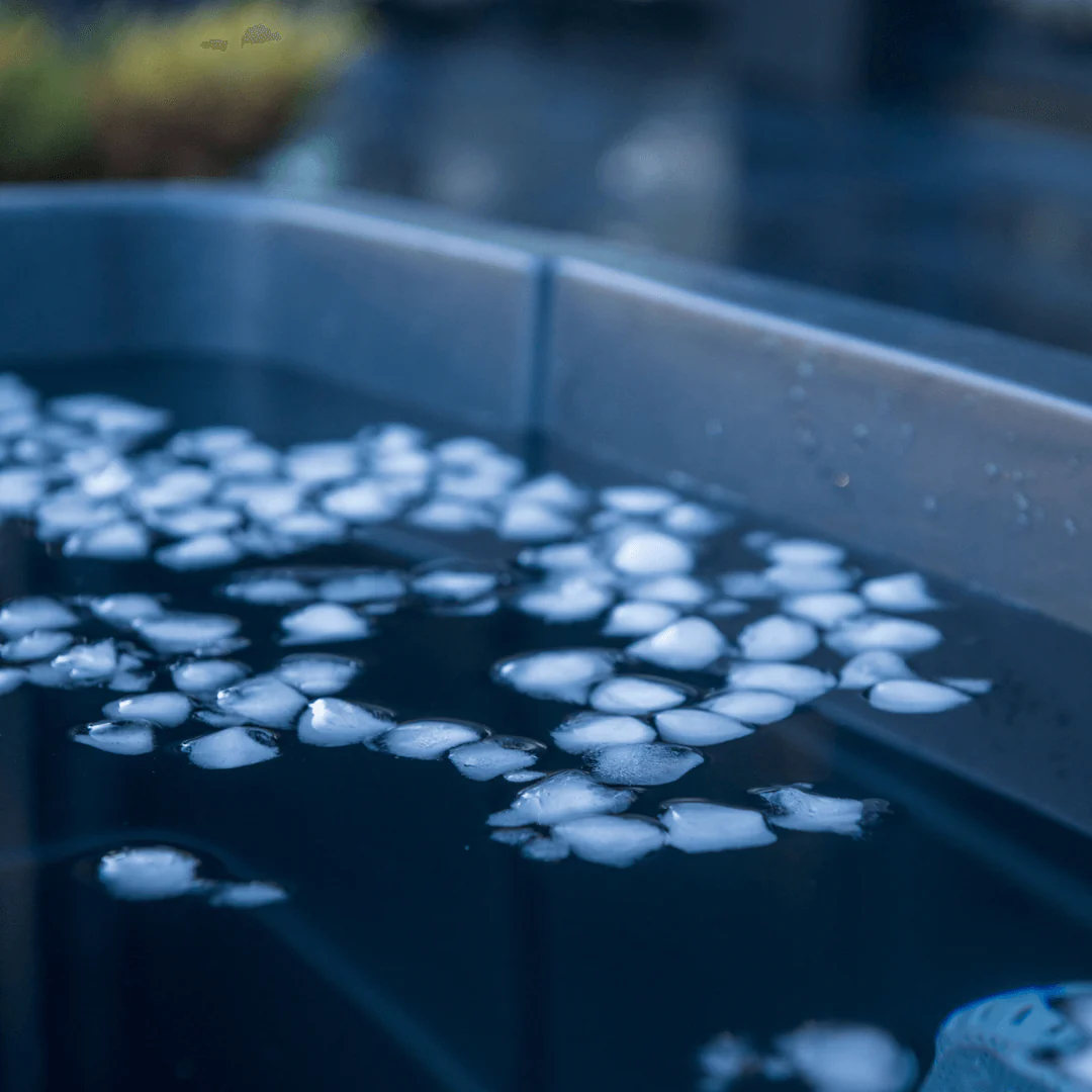 Black Dip Plunge - Image 4