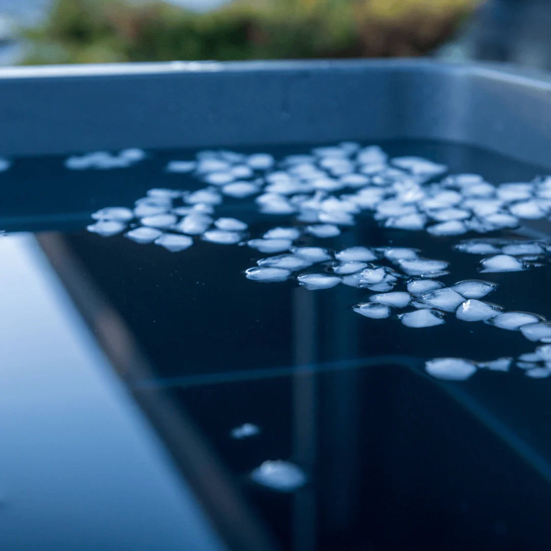 Black Dip Plunge - Image 7